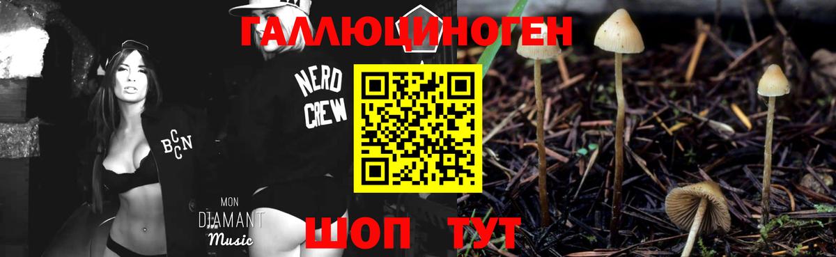 Тосно  Псилоцибиновые грибы MAGIC MUSHROOMS  где купить наркотик  Вход с VPN 